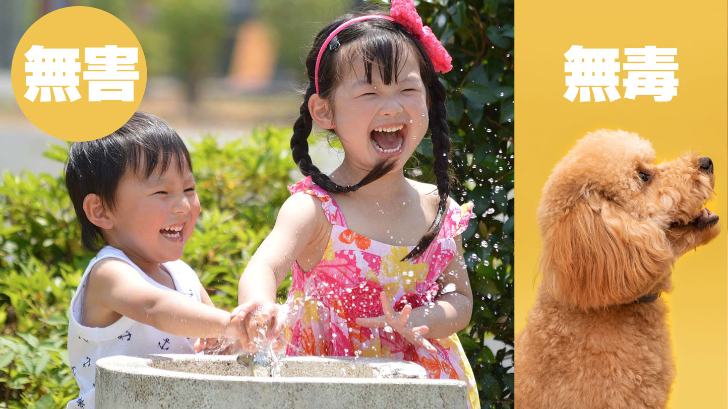 アスケアイメージ