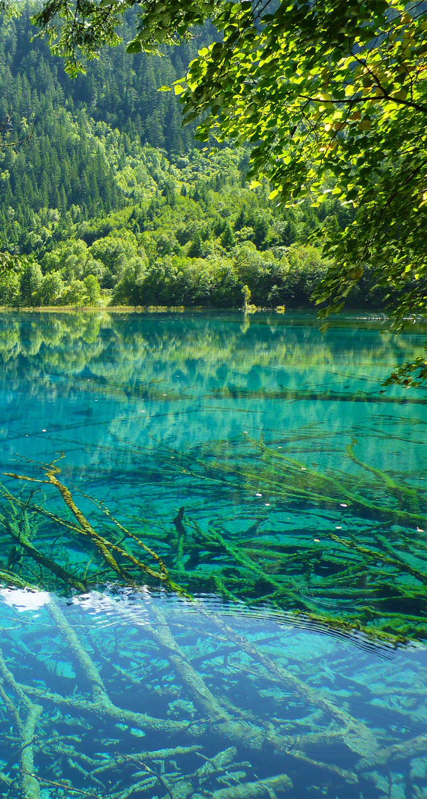 会社概要イメージ
